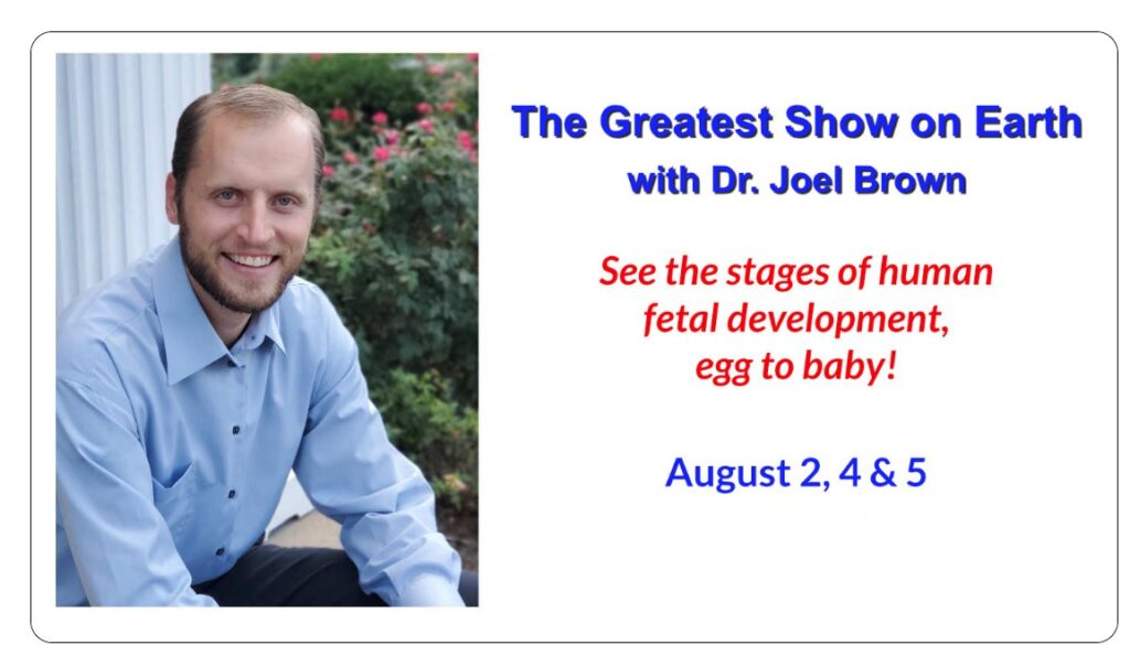 Dr Joel Brown, August, 2025